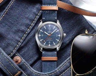  EVERYTHING YOU NEED TO KNOW ABOUT THE SEAMASTER RAILMASTER