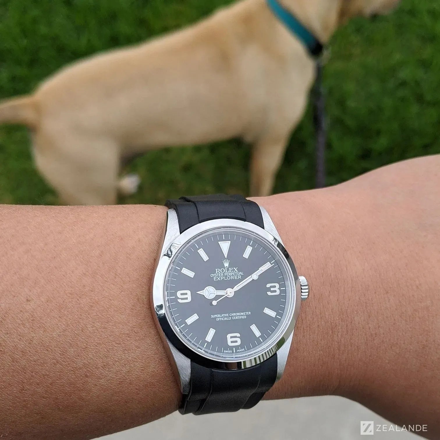 Bracelet caoutchouc pour Rolex Explorer 1 36mm 6 chiffres ZEALANDE